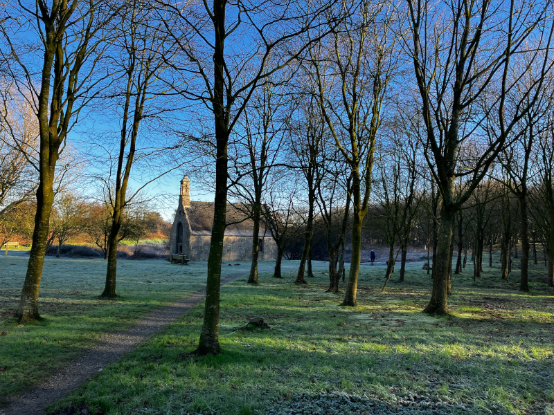 Bois de Troménec (Pays de Brest)