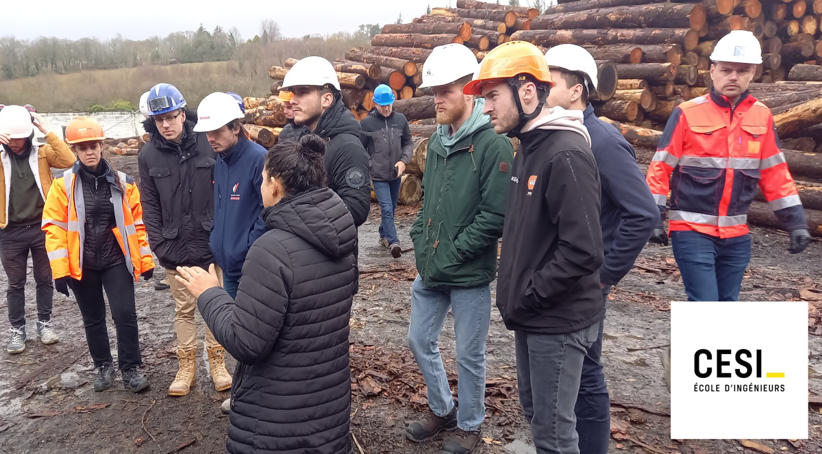 Etudiants du CESI à Brest en visite à la scierie de Landi