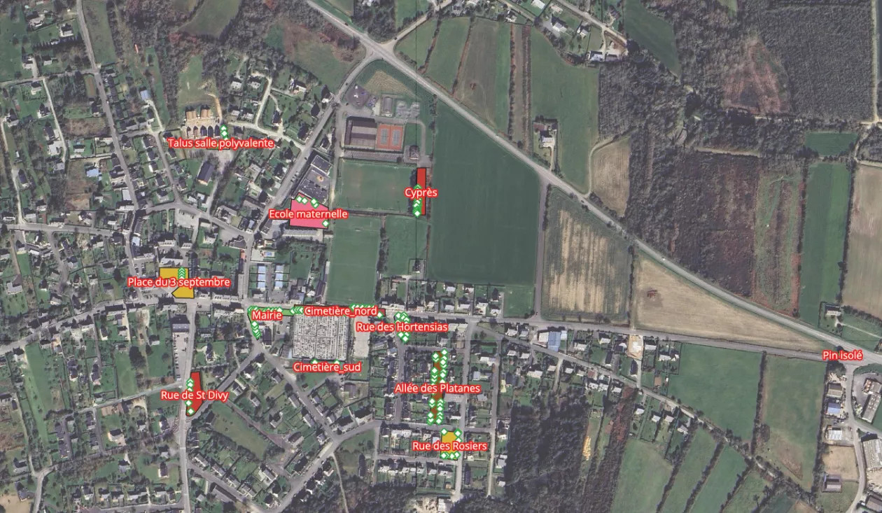 Ciblage des arbres urbains de la commune
