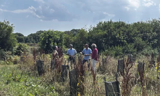 Les élus de Lanrivoaré, et Landéda échangent sur le site de plantation