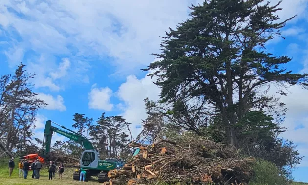 Forêt Bois Pays de Brest en action  - opération en cours à Saint-Pabu