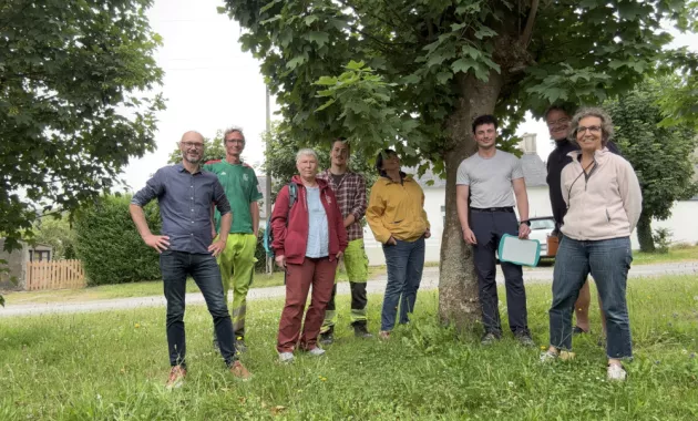 Restitution de la mission arbres urbains à Telgruc
