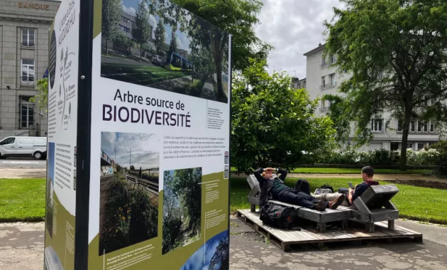 Invitation à la pause et à la contemplation (📸 Pays de Brest)