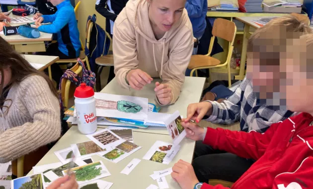 Atelier sur l'arbre à Lannilis