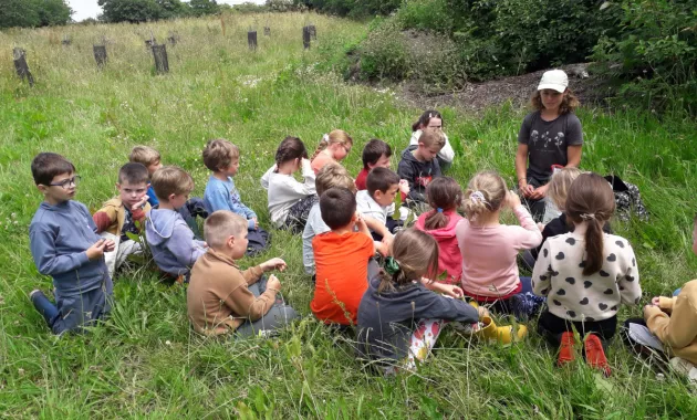 Atelier biodiversité sur le site de plantation de Lanrivoaré (📸 Géraldine Le Bagousse)