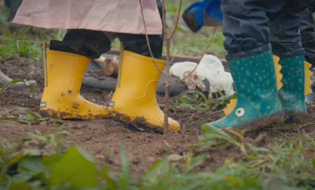 Plantation d'arbre pour les nouvelles forêts du pays de Brest