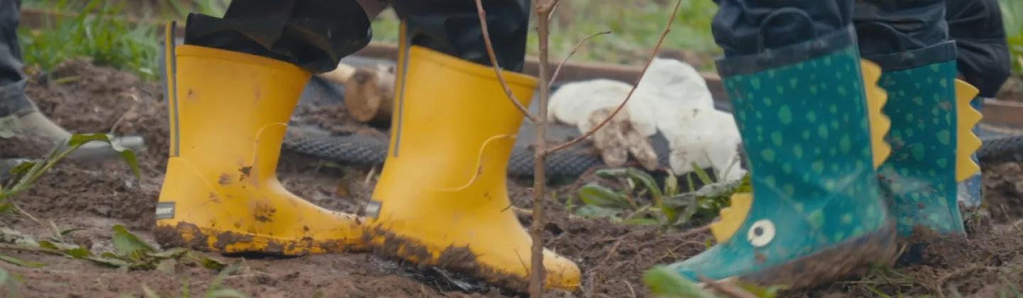 Forêt citoyenne à Lannilis