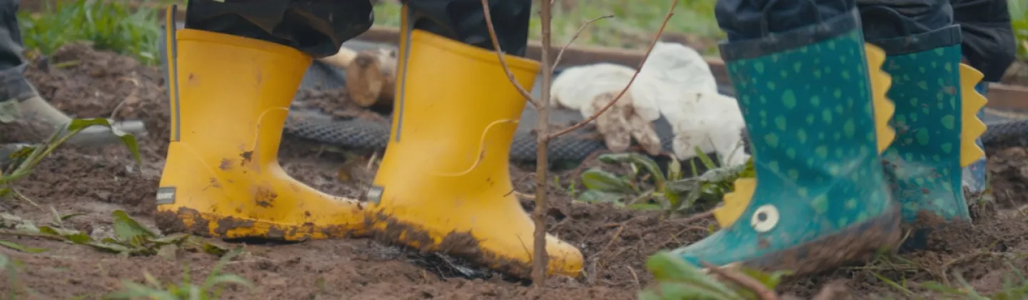 Forêt citoyenne à Lanrivoaré