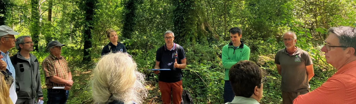 Rencontre sur la biodiversité forestière à Plouarzel