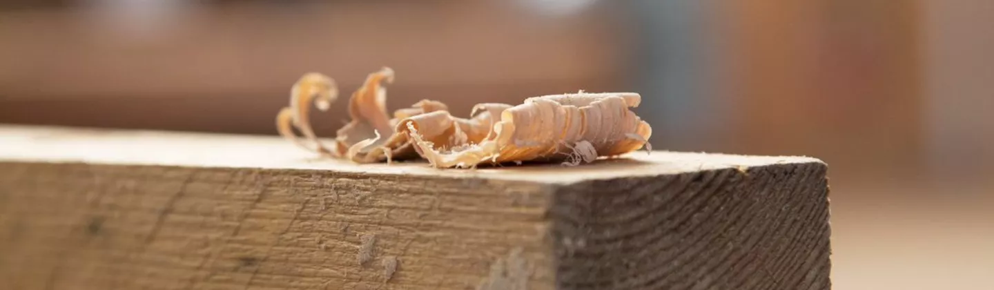 Guide des formations bois en Pays de Brest