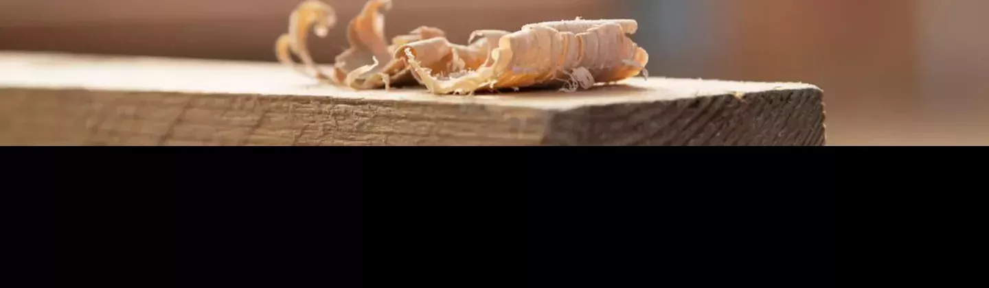 Panorama des formations bois 