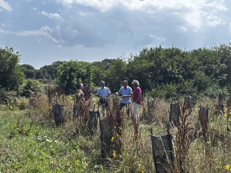 Les élus de Lanrivoaré, et Landéda échangent sur le site de plantation