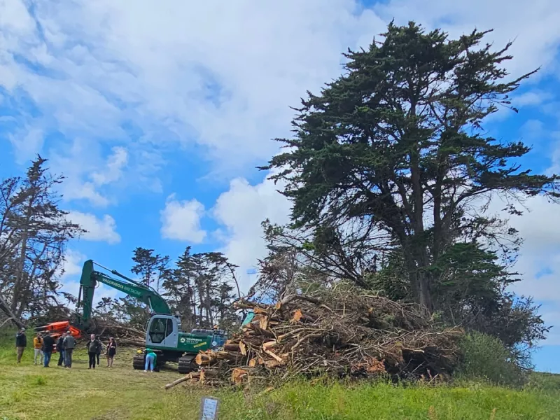 Forêt Bois Pays de Brest en action  - opération en cours à Saint-Pabu