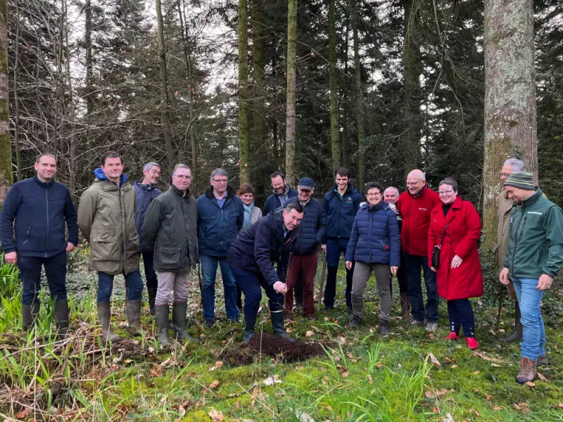 Forêt de Kerlaran à Landerneau