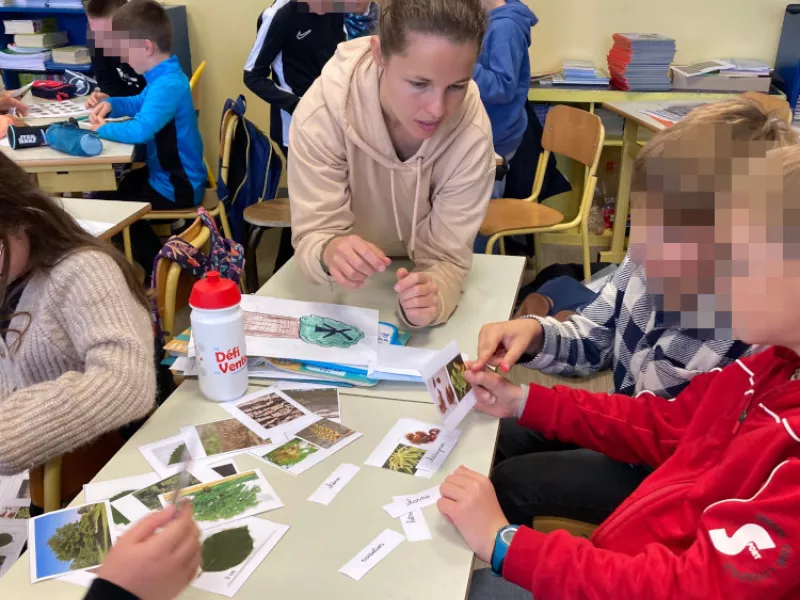 Atelier sur l'arbre à Lannilis