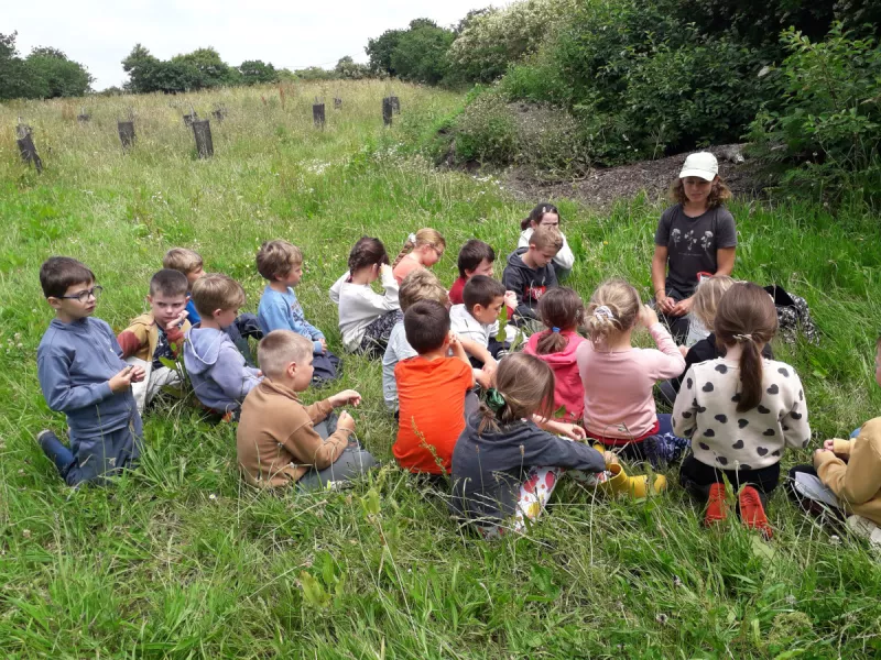 Atelier biodiversité sur le site de plantation de Lanrivoaré (📸 Géraldine Le Bagousse)