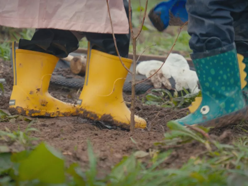 Plantation d'arbre pour les nouvelles forêts du pays de Brest
