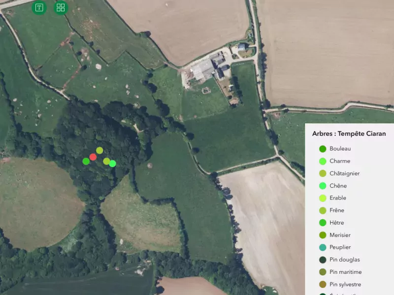 Application de visualisation des arbres tombés hors forêt