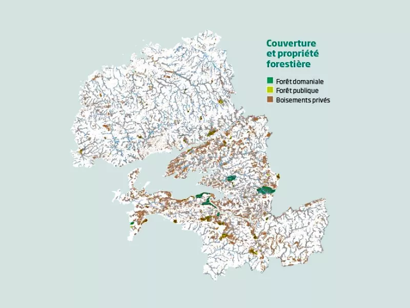 Diagnostic de la filière forêt-bois du Pays de Brest