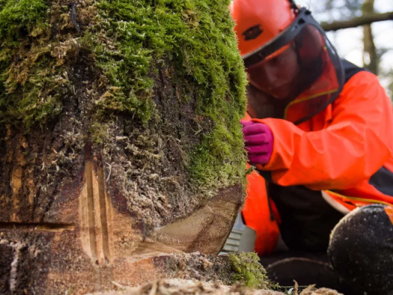 CFFPA de Kerliver à Hanvec