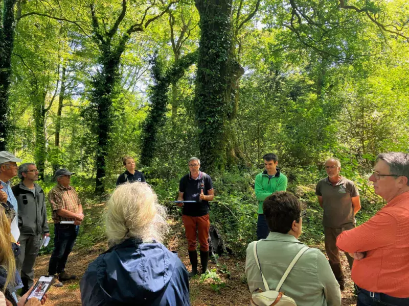 Rencontre avec le CRPF sur le potentiel de biodiversité des forêts