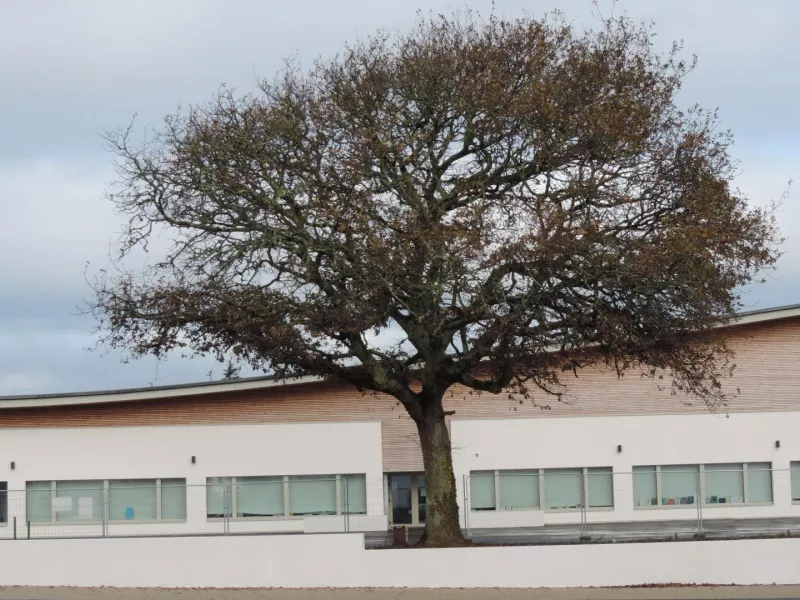 Ecole bois PassivHaus à Crozon