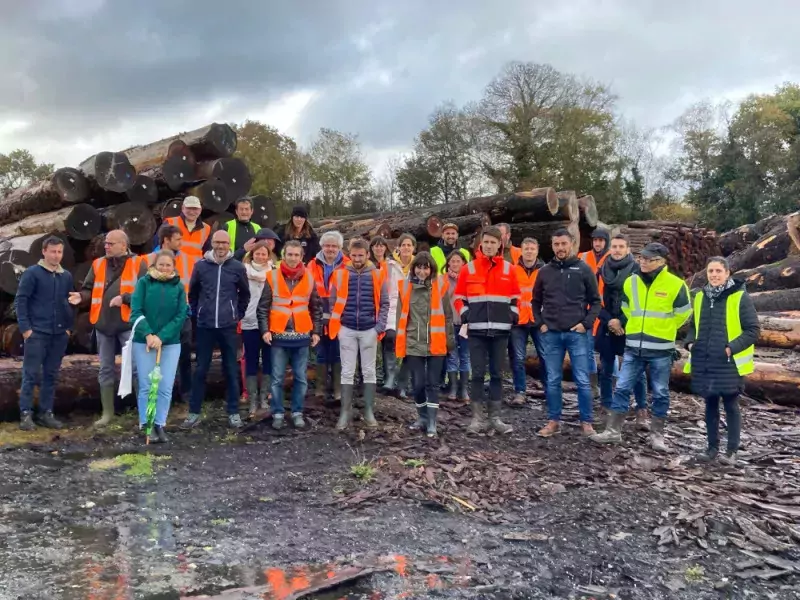 La structuration de la filière forêt-bois