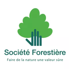Société Forestière