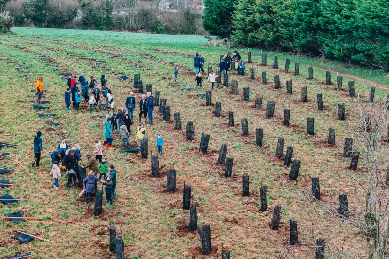 Plantons une forêt