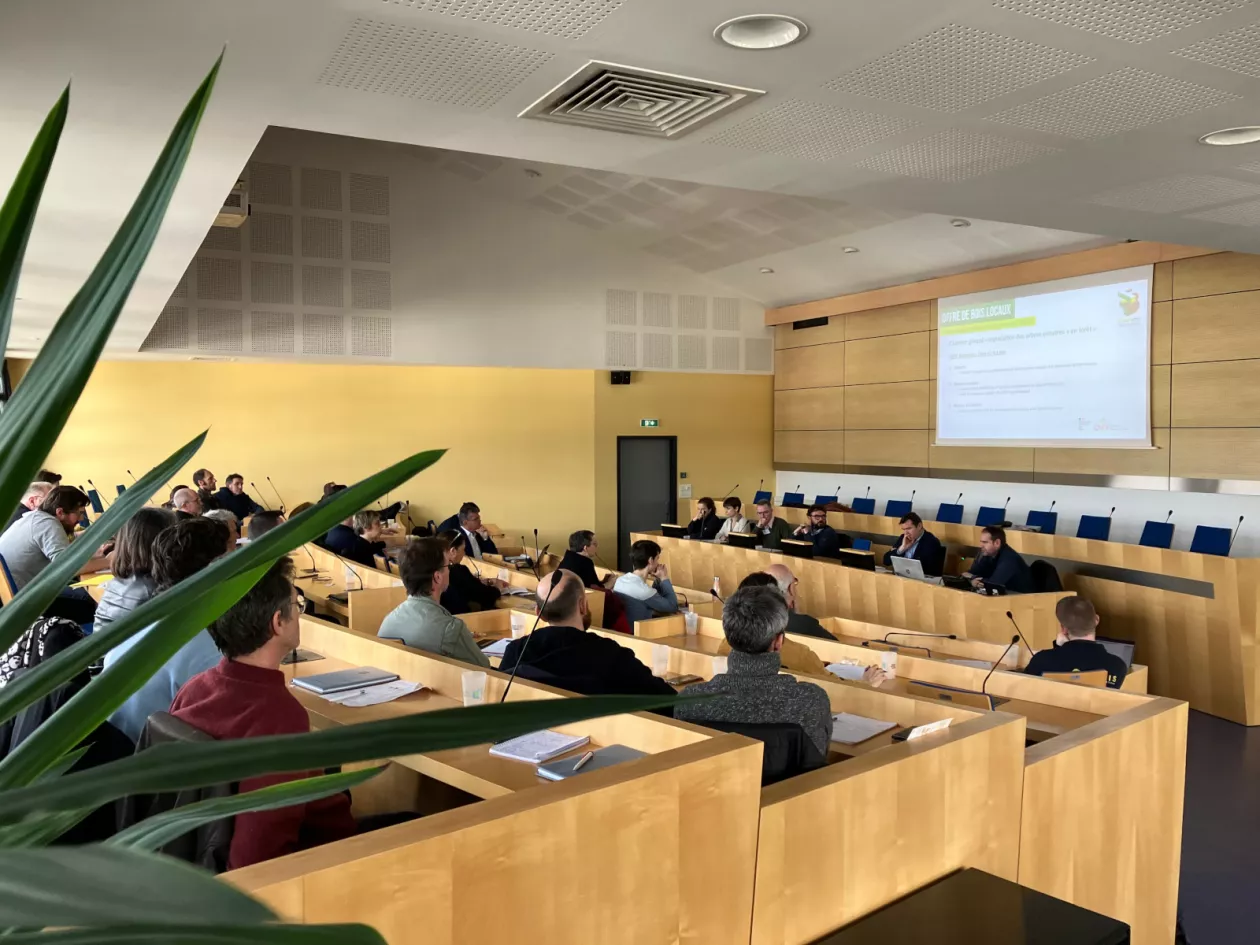 COPIL forêt-bois du Pays de Brest : faire filière