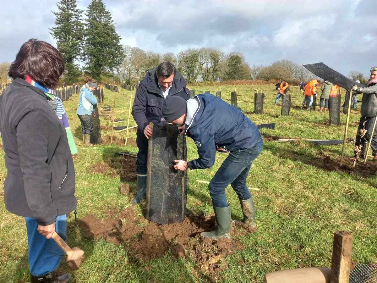 Plantons une forêt à Ploudiry