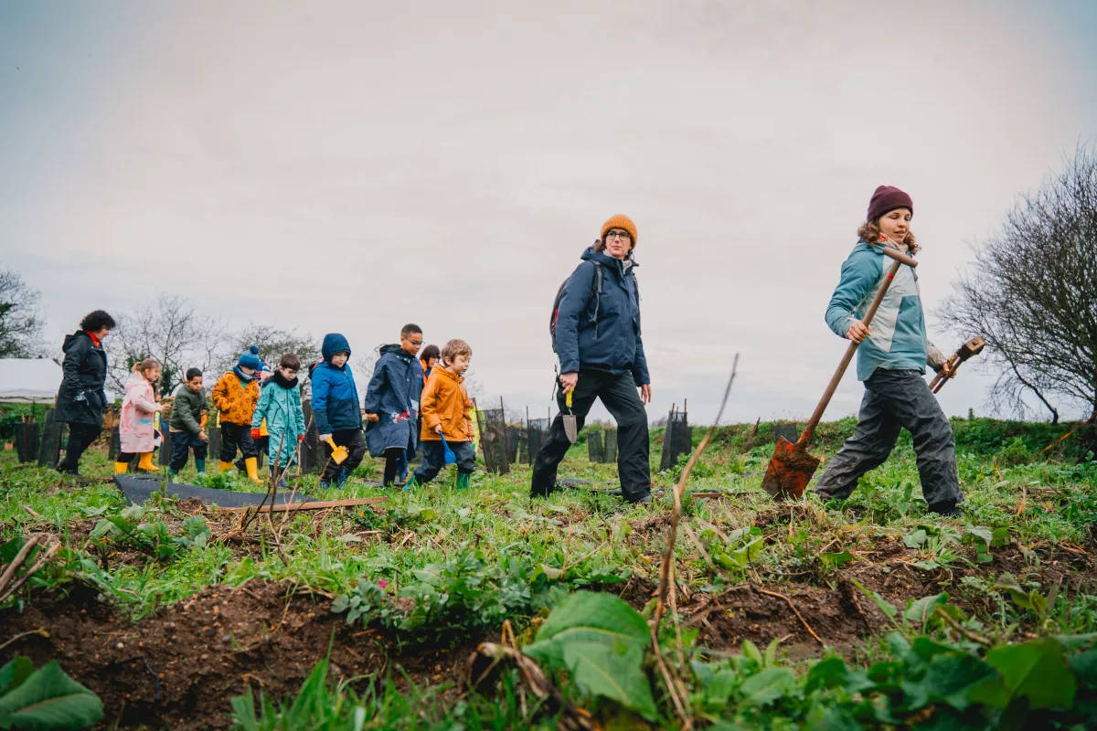 Plantons une forêt
