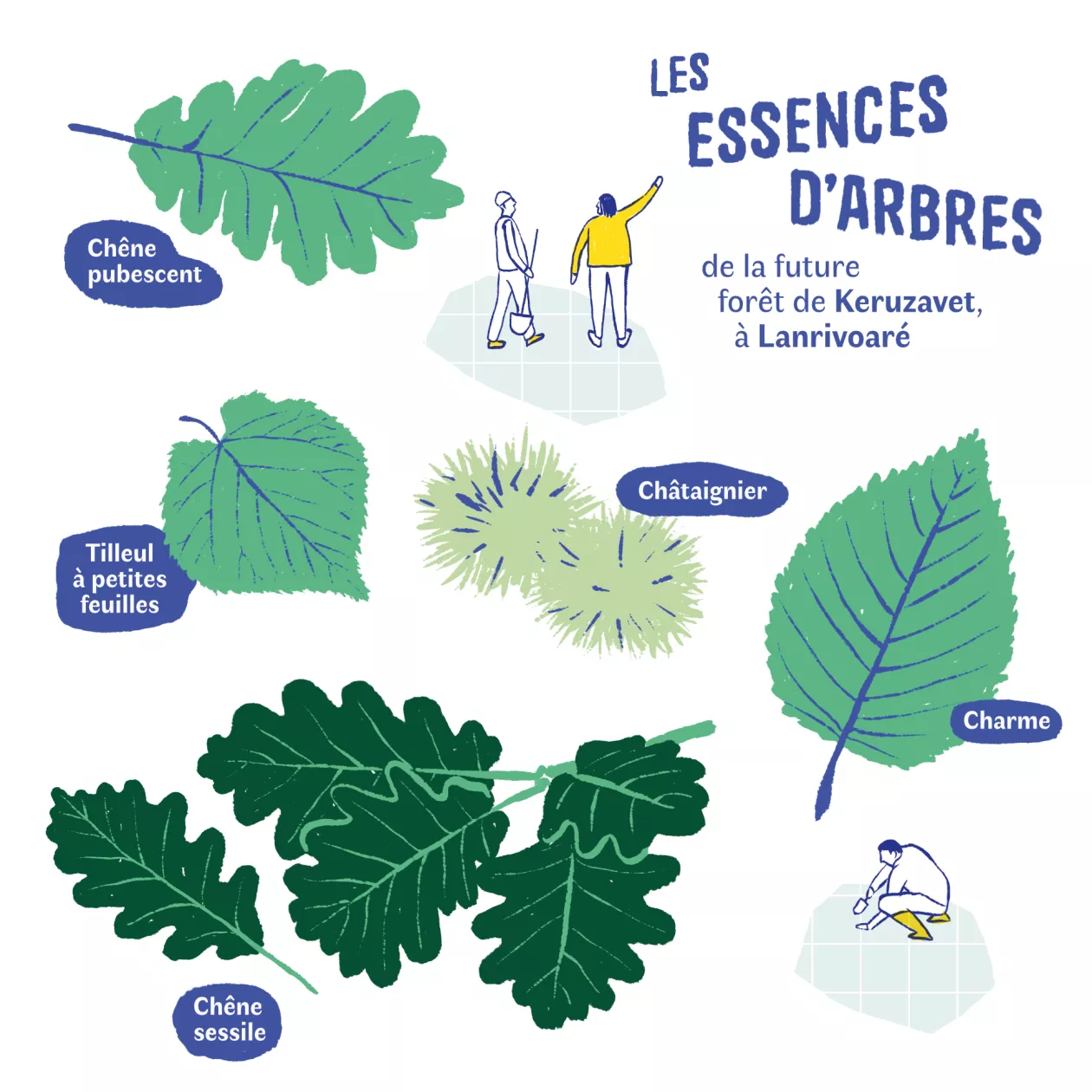 Essences choisies à Lanrivoaré