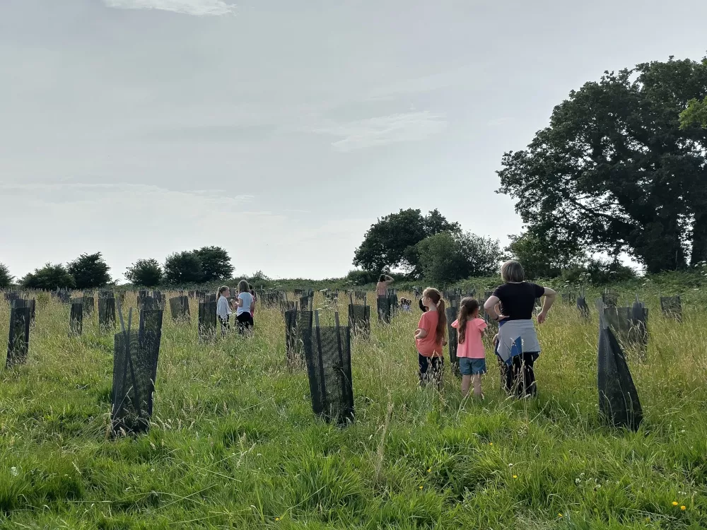 Atelier biodiversité sur le site de plantation de Lannilis