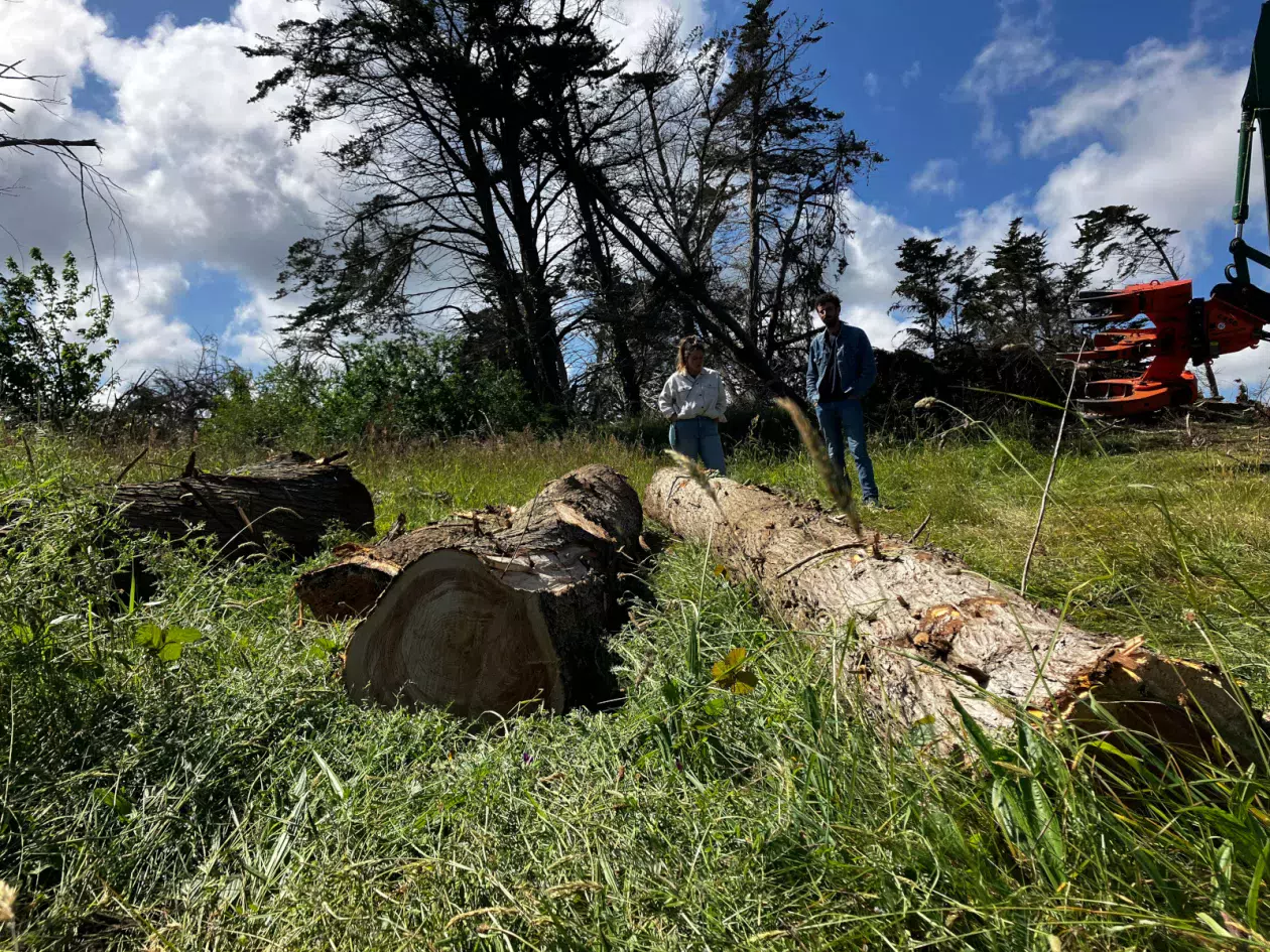 Forêt Bois Pays de Brest - opération en cours à Saint-Pabu