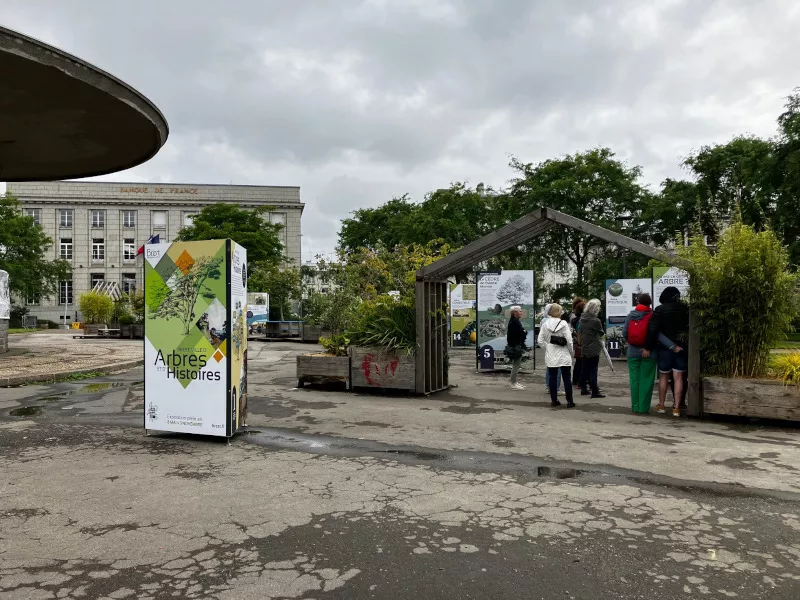 Brest, ville d'arbres et d'histoires