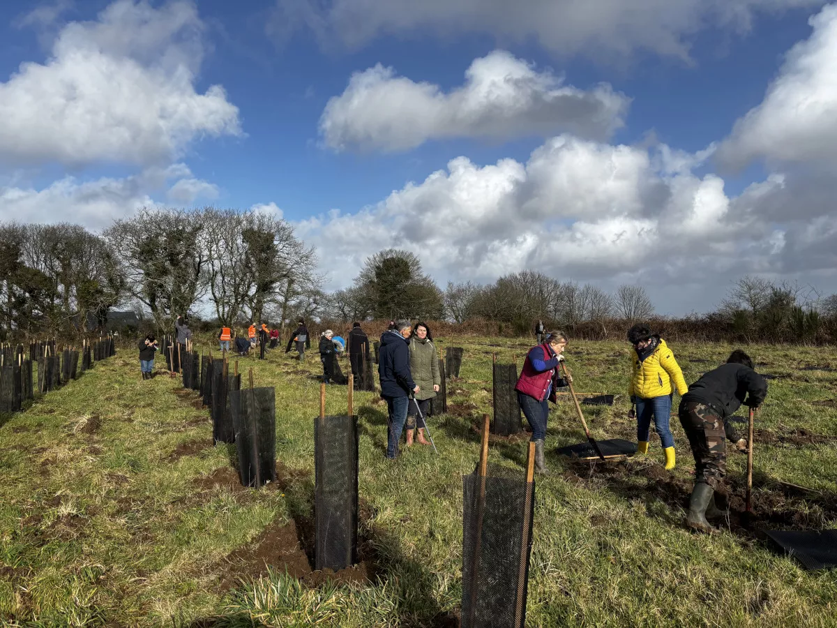 Plantons une forêt à Ploudiry