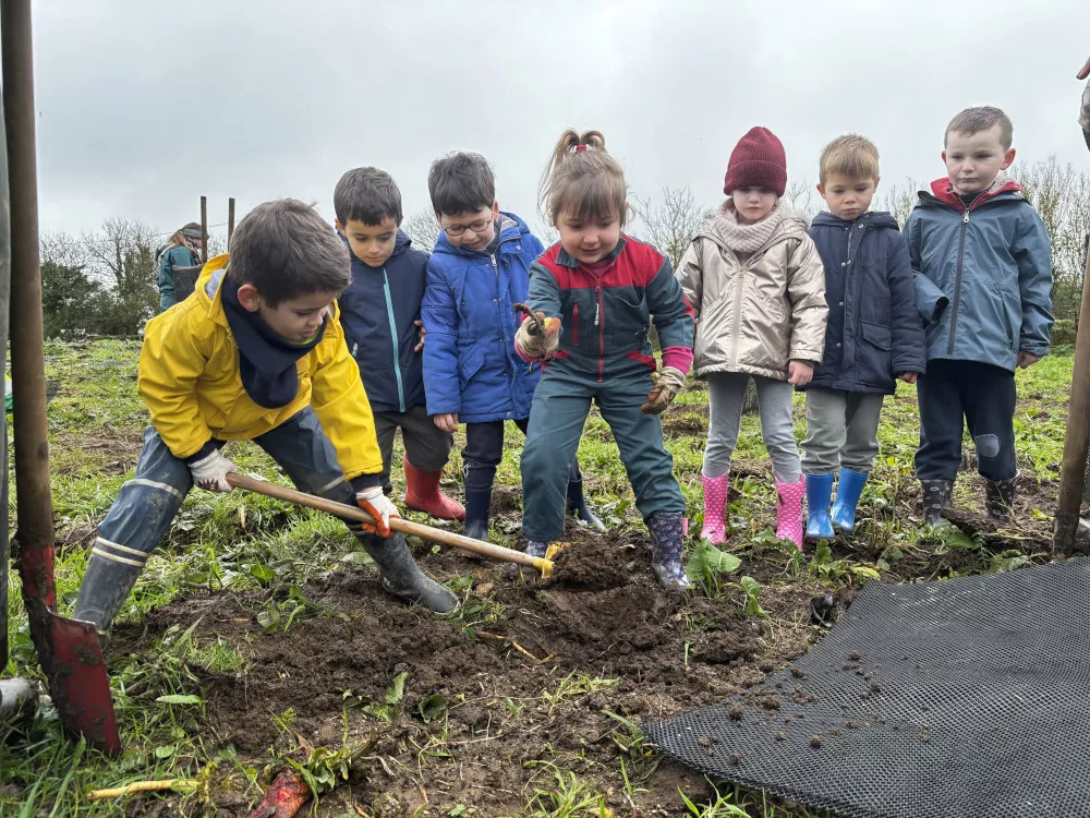 Photo de la plantation de Lanrivoaré