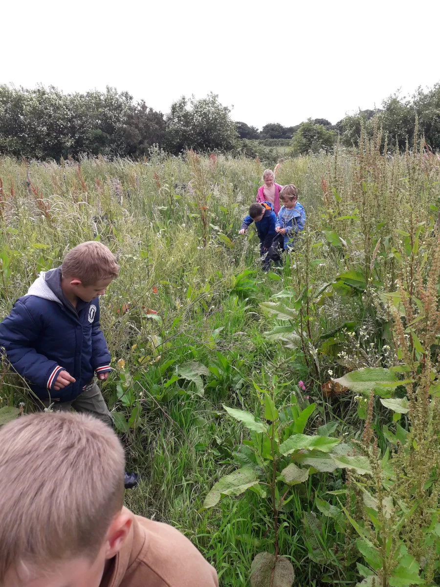Atelier biodiversité sur le site de plantation de Lanrivoaré