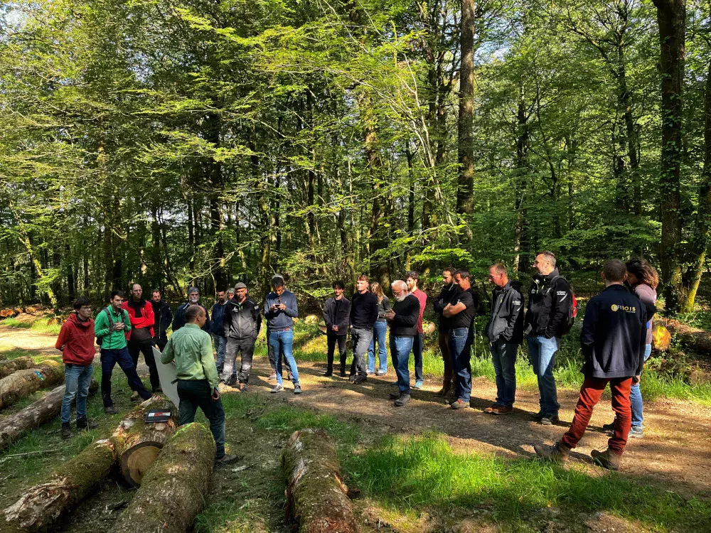 Visite en forêt du Cranou avec l'ONF