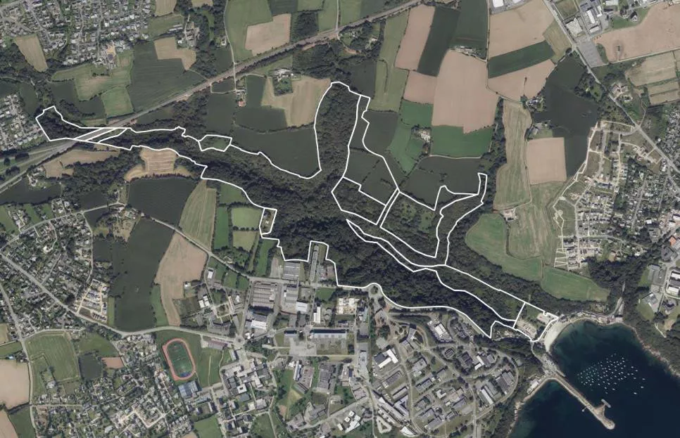 Bois de la vallée de Sainte-Anne à Brest