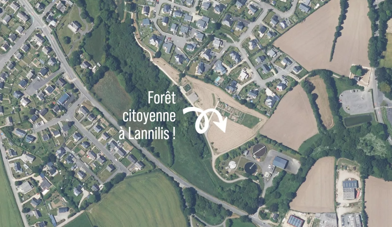 Vue aérienne de la plantation de Lannilis