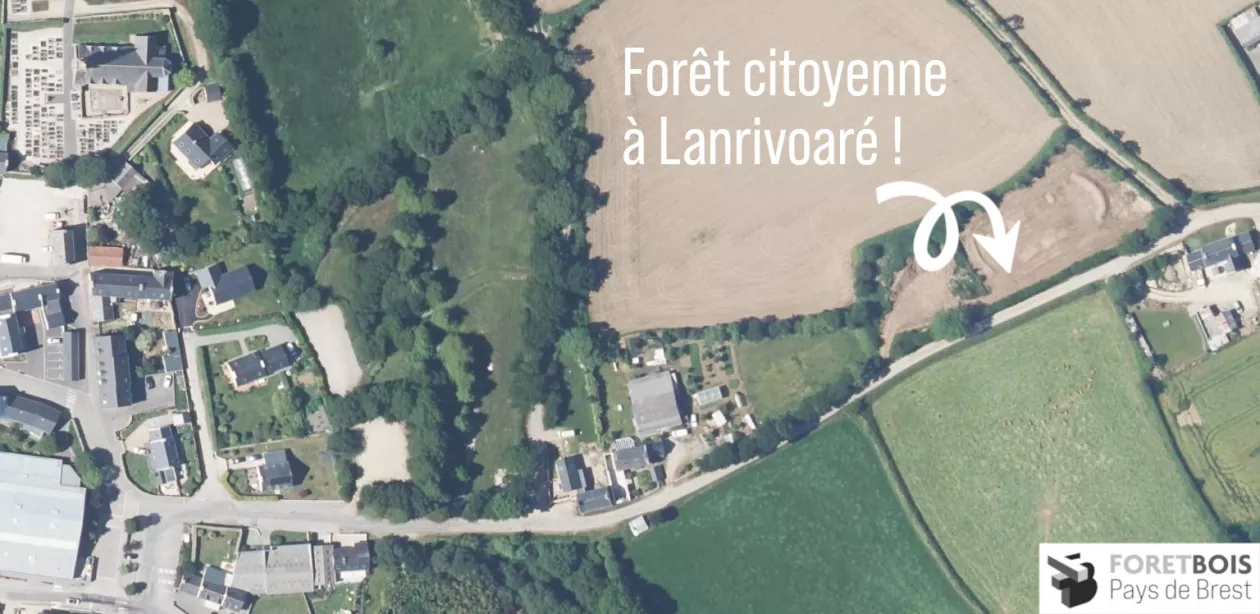Forêt citoyenne à Lanrivoaré
