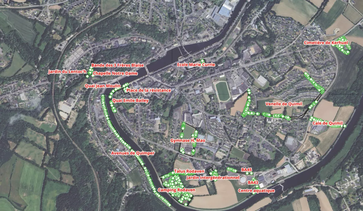 Arbres urbains à Châteaulin