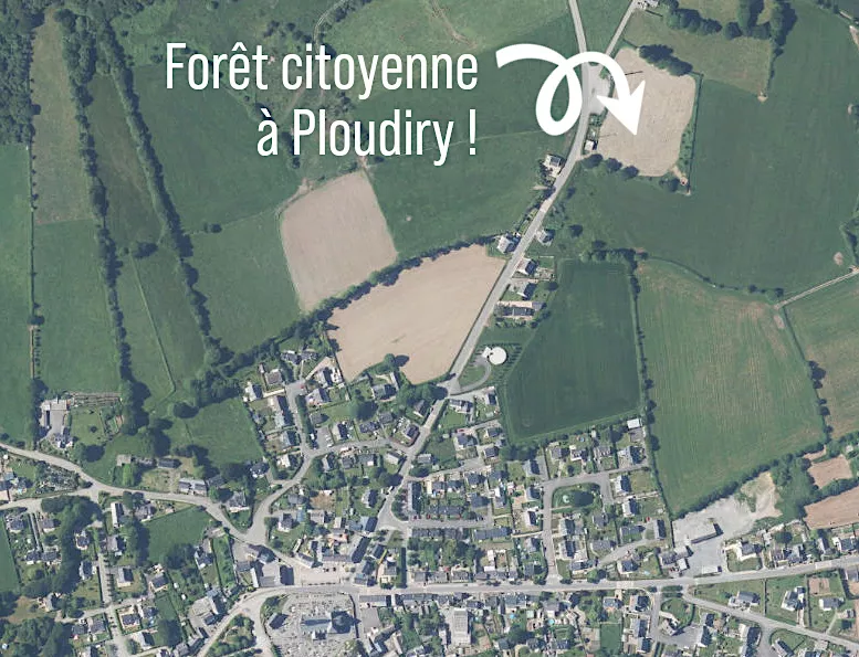 Plantons une forêt à Ploudiry