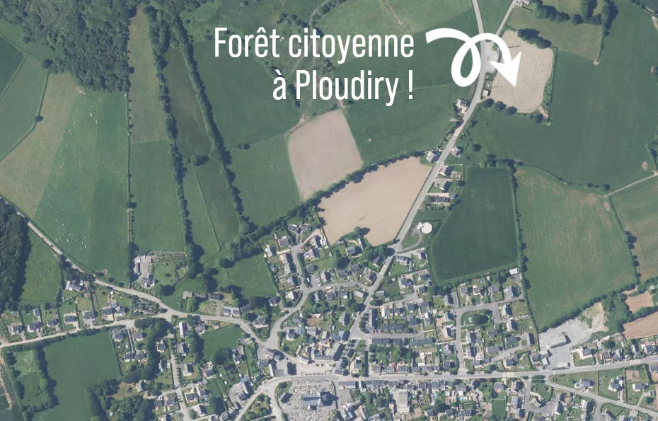 Forêt citoyenne à Ploudiry