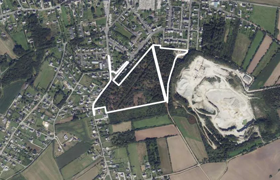 Bois de Menez Luz à Telgruc-sur-Mer