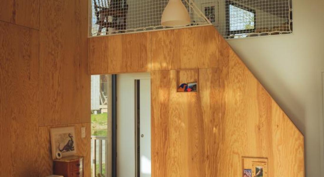 Pierre Alphonse Hamann photographe