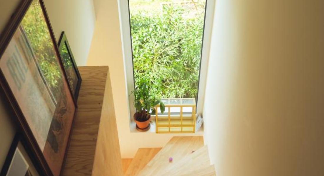 Pierre Alphonse Hamann photographe