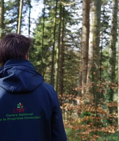 Conseil aux propriétaires forestiers